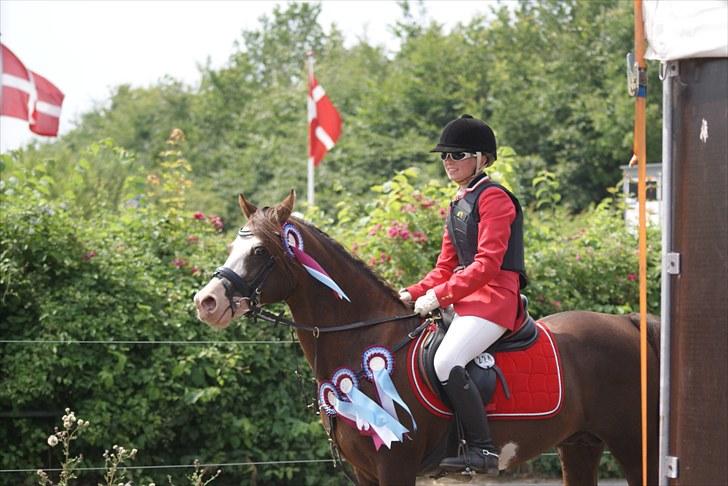 Copenhagen 2010  billede 2