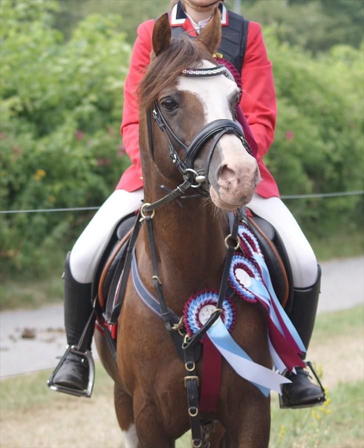 Copenhagen 2010  billede 1