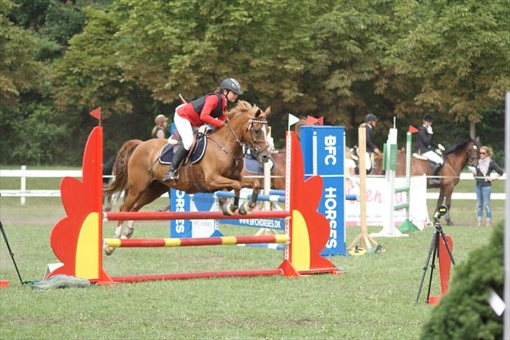 Copenhagen 2010  billede 9