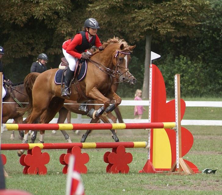 Copenhagen 2010  billede 10