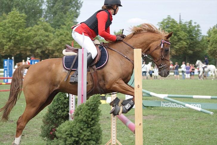 Copenhagen 2010  billede 11