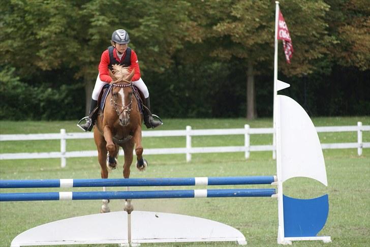 Copenhagen 2010  billede 12