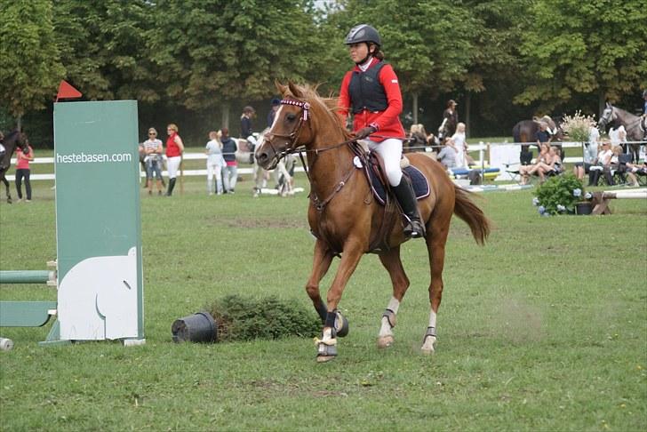 Copenhagen 2010  billede 13