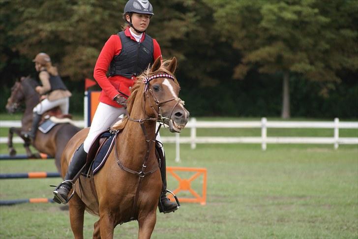 Copenhagen 2010  billede 15