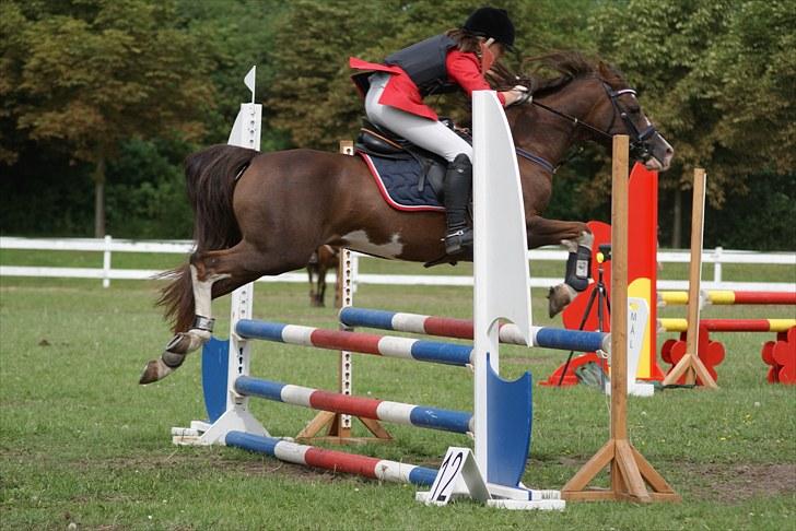 Copenhagen 2010  billede 16