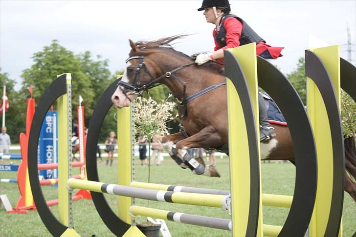 Copenhagen 2010  billede 18