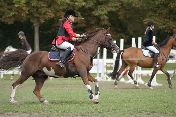 Copenhagen 2010  billede 19