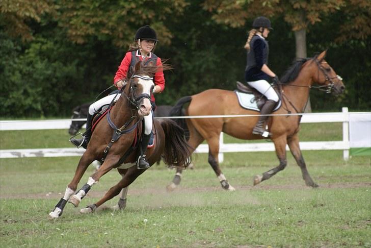 Copenhagen 2010  billede 20