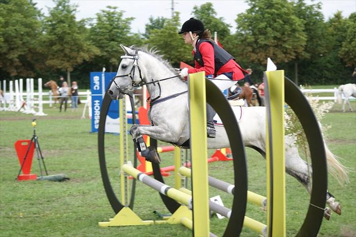 Copenhagen 2010  billede 24