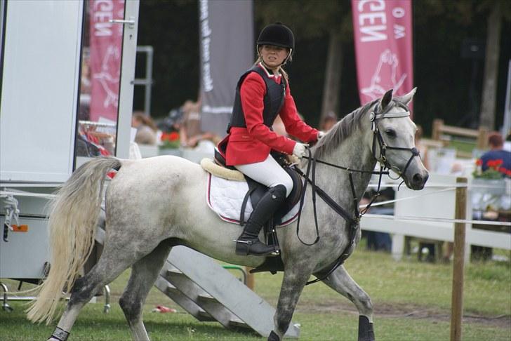 Copenhagen 2010  billede 27