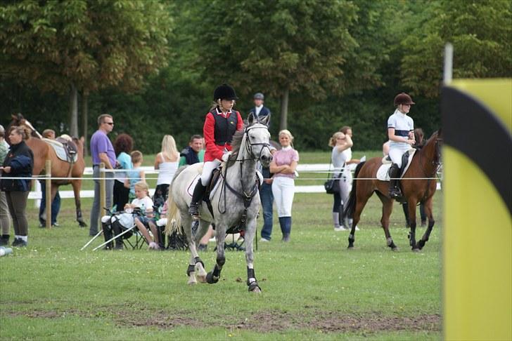 Copenhagen 2010  billede 28