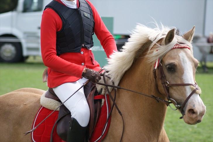 Copenhagen 2010  billede 29