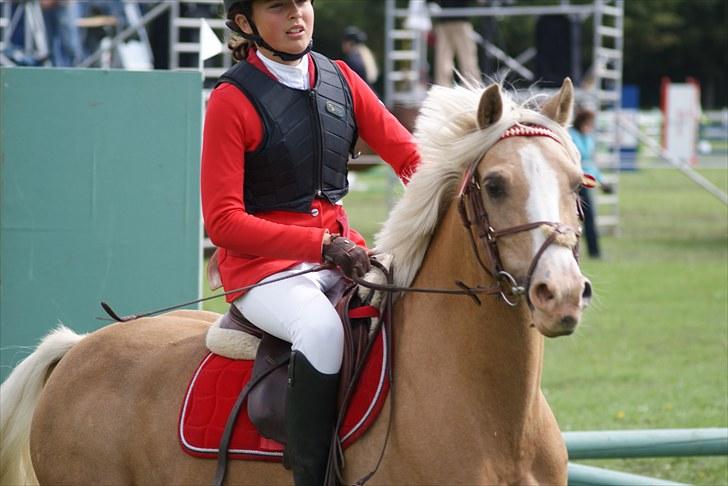 Copenhagen 2010  billede 30