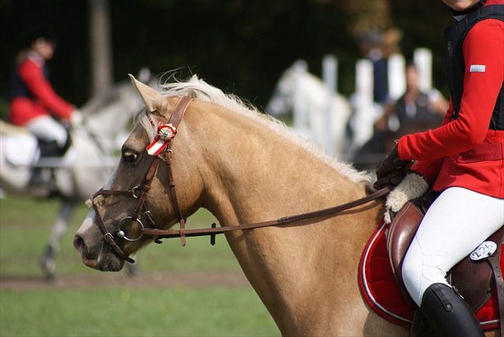 Copenhagen 2010  billede 31