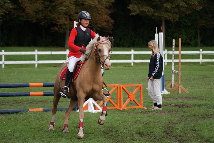 Copenhagen 2010  billede 33