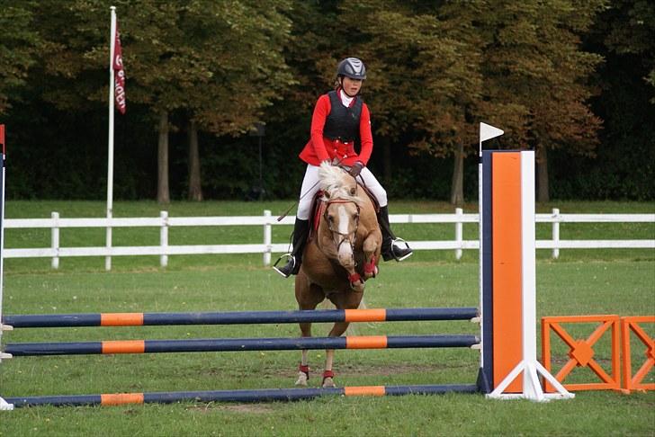 Copenhagen 2010  billede 34