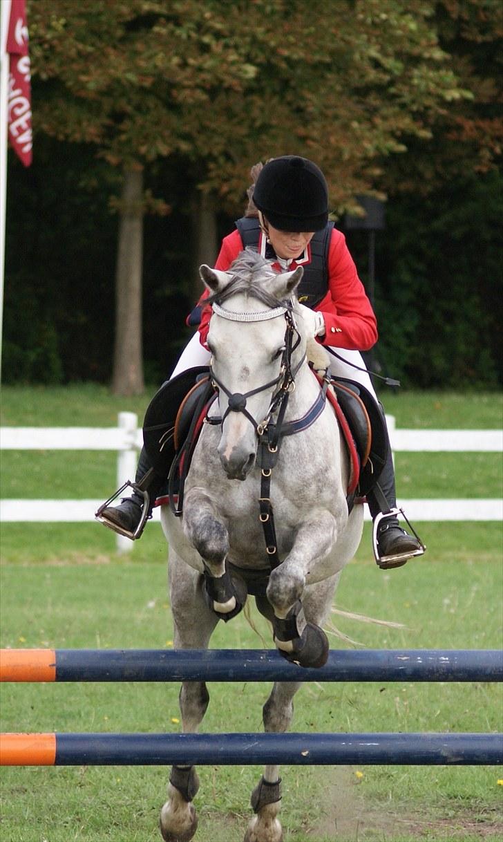 Copenhagen 2010  billede 38