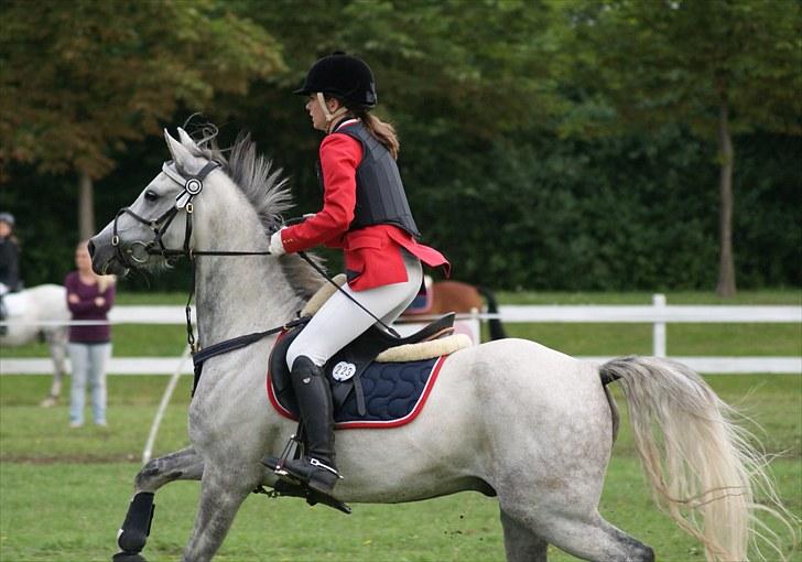 Copenhagen 2010  billede 39