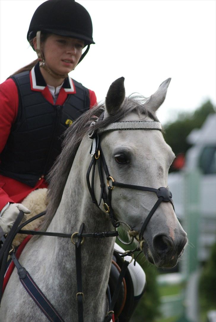 Copenhagen 2010  billede 42