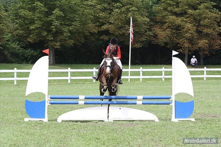 Copenhagen 2010  billede 46