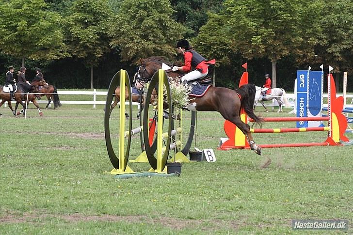 Copenhagen 2010  billede 48