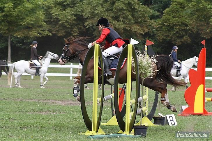 Copenhagen 2010  billede 49