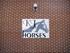 KJ Horses