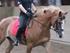 Kanon allround 1'er pony