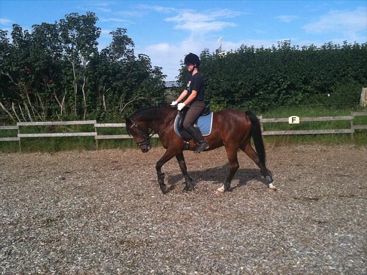 Rico og jeg TÆNING hjemme hos Julie<33 billede 1