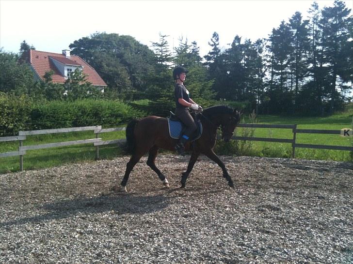 Rico og jeg TÆNING hjemme hos Julie<33 billede 2