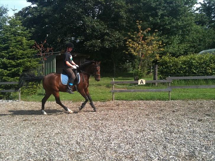 Rico og jeg TÆNING hjemme hos Julie<33 billede 6