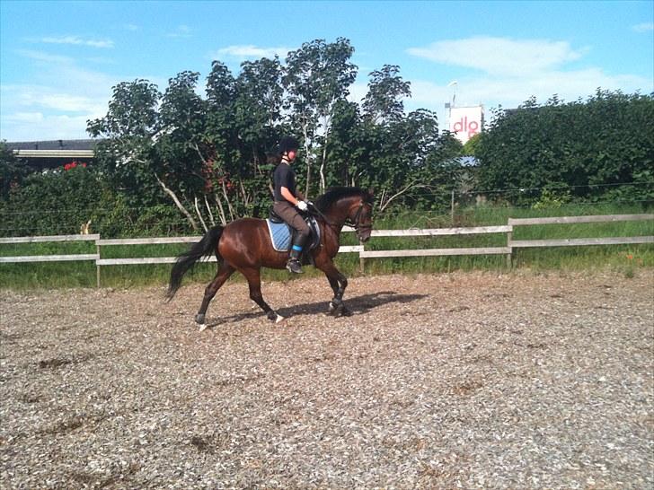 Rico og jeg TÆNING hjemme hos Julie<33 billede 7