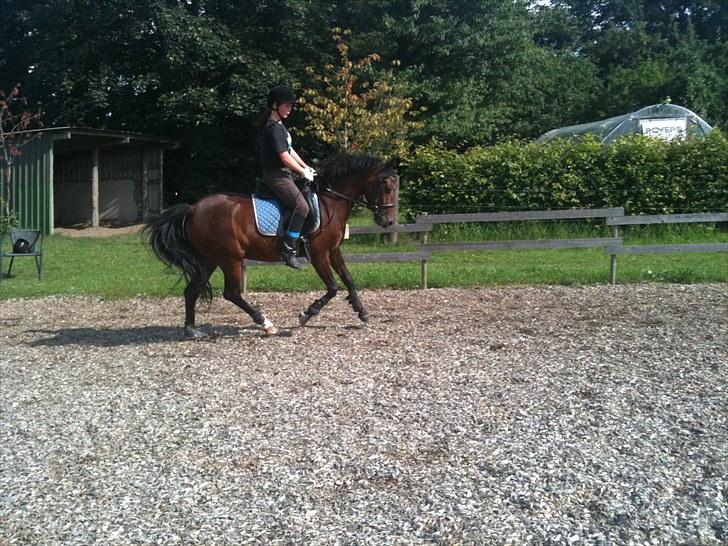 Rico og jeg TÆNING hjemme hos Julie<33 billede 8