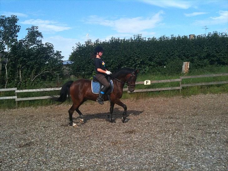 Rico og jeg TÆNING hjemme hos Julie<33 billede 10