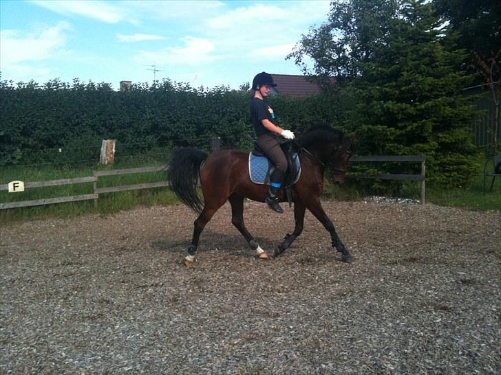 Rico og jeg TÆNING hjemme hos Julie<33 billede 11