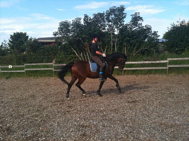 Rico og jeg TÆNING hjemme hos Julie<33 billede 12