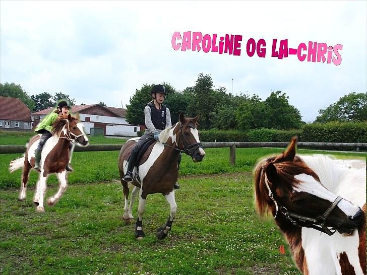 PhotoFiltre Billeder - Til Caroline og La-Chris :) billede 21