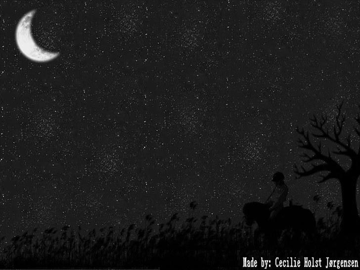 PhotoFiltre Billeder - Til Daniella og Pippi :) billede 22