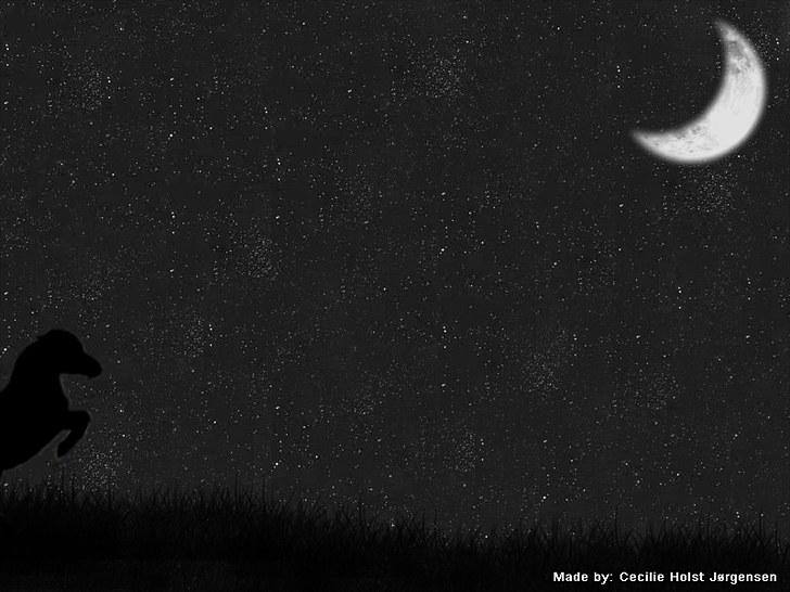 PhotoFiltre Billeder - Til Daniella og Pixeline :) billede 23