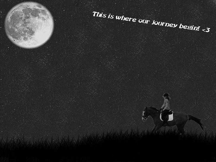 PhotoFiltre Billeder - Til Daniella og Top Nonius :) billede 24