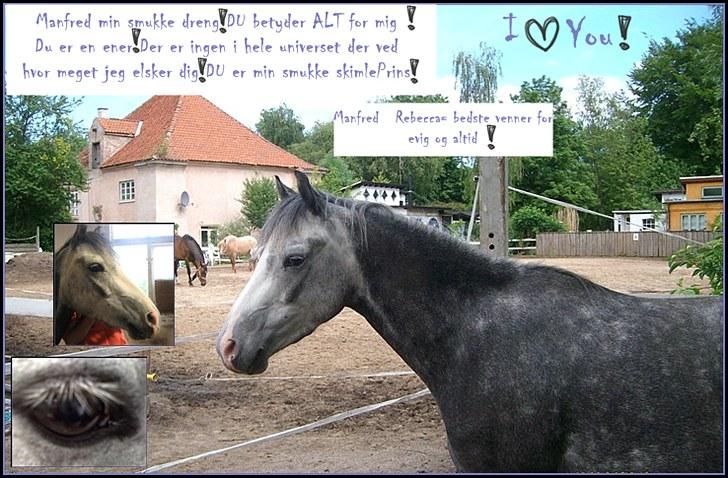 Billeder jeg har lavet  - Til Manfred 
Det er kun hende der må tage billedet billede 15