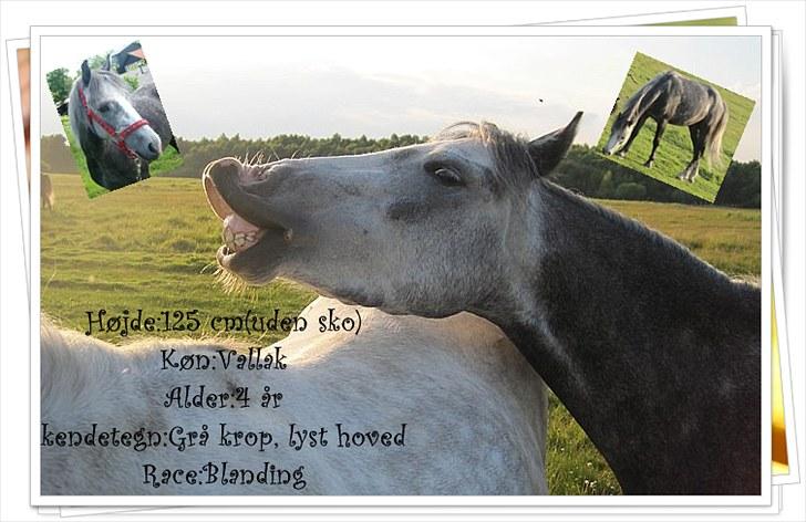 Billeder jeg har lavet  - TIl Manfred
Det er kun hende der må tage billedet billede 17