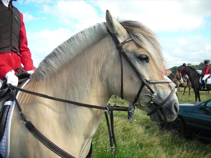 Jagt på Espe gods - Jagt på Espe gods:) billede 1