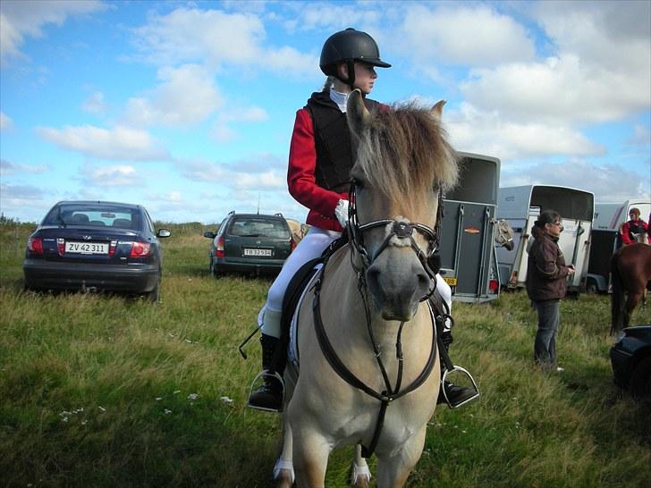 Jagt på Espe gods - Jagt på Espe gods:) billede 2