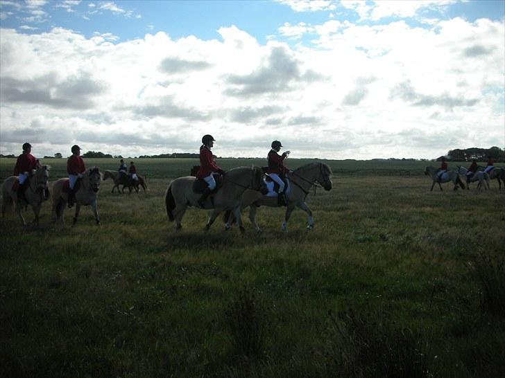 Jagt på Espe gods - Jagt på Espe gods:) billede 3