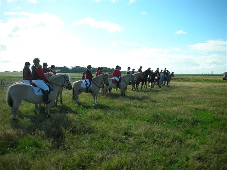 Jagt på Espe gods - Jagt på Espe gods:) billede 4