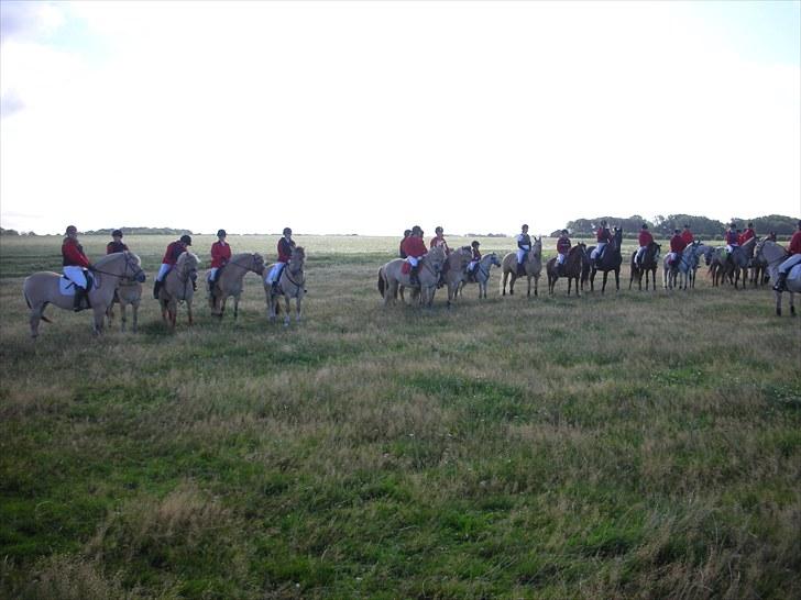 Jagt på Espe gods - Jagt på Espe gods:) billede 5