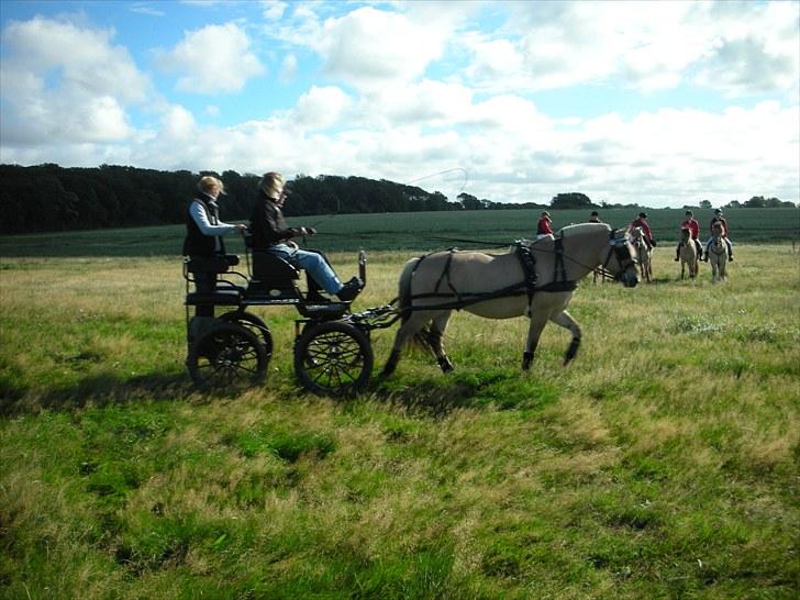 Jagt på Espe gods - Jagt på Espe gods:) billede 6