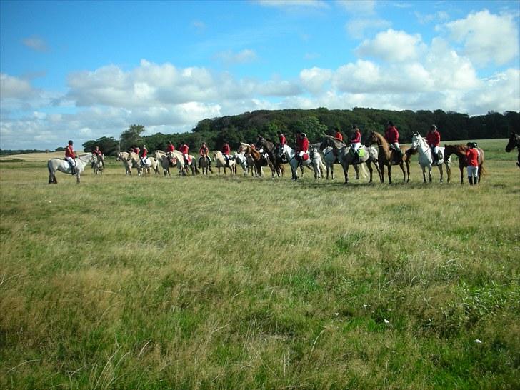 Jagt på Espe gods - Jagt på Espe gods:) billede 7