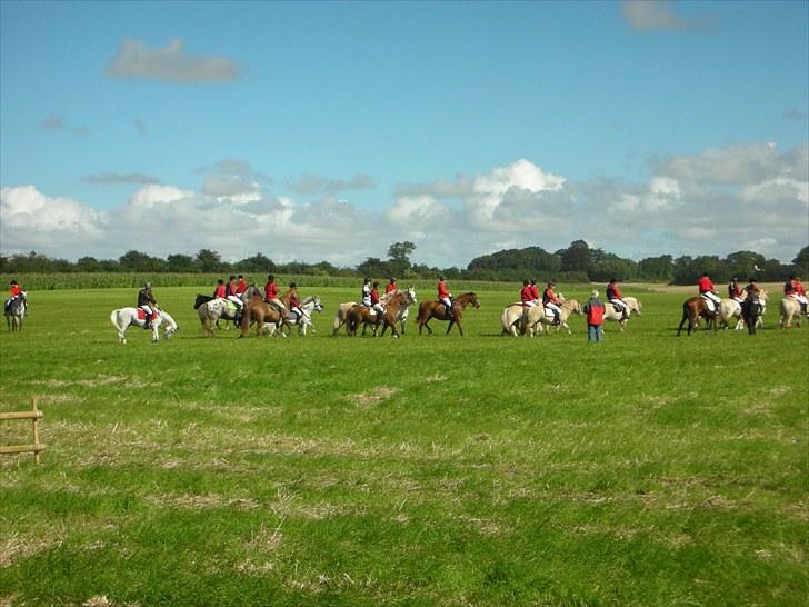 Jagt på Espe gods - Jagt på Espe gods:) billede 8